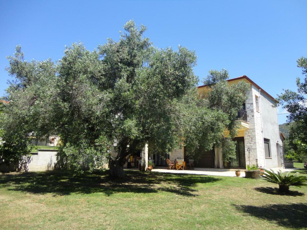 Holiday Villa Vee Nea Skioni Exteriör bild